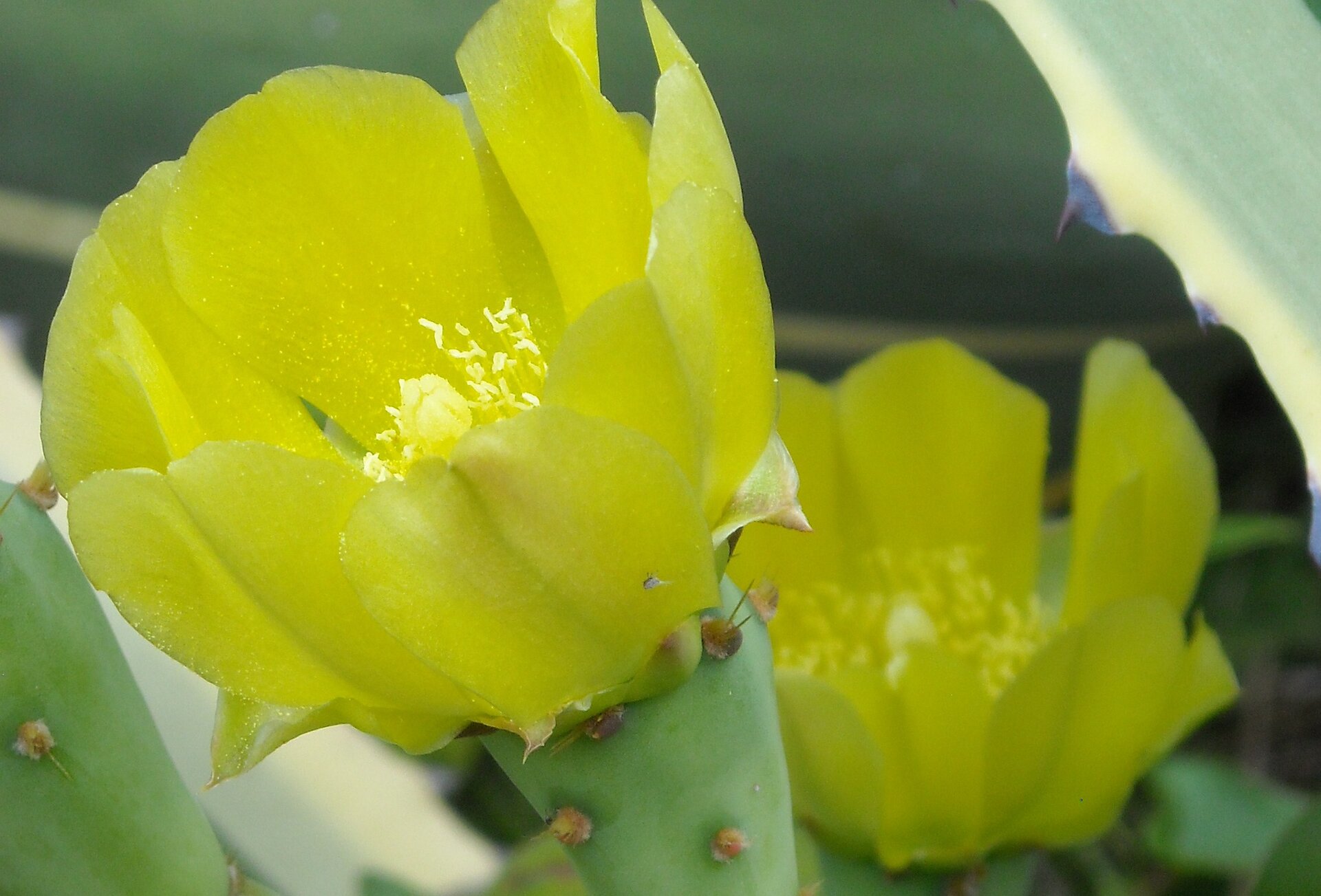 DSCN0645.JPG