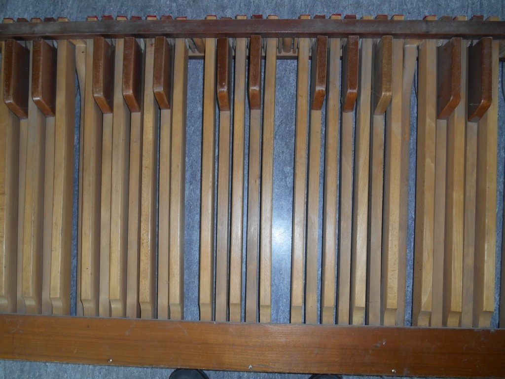DSCN0663ansicht pedal.jpg