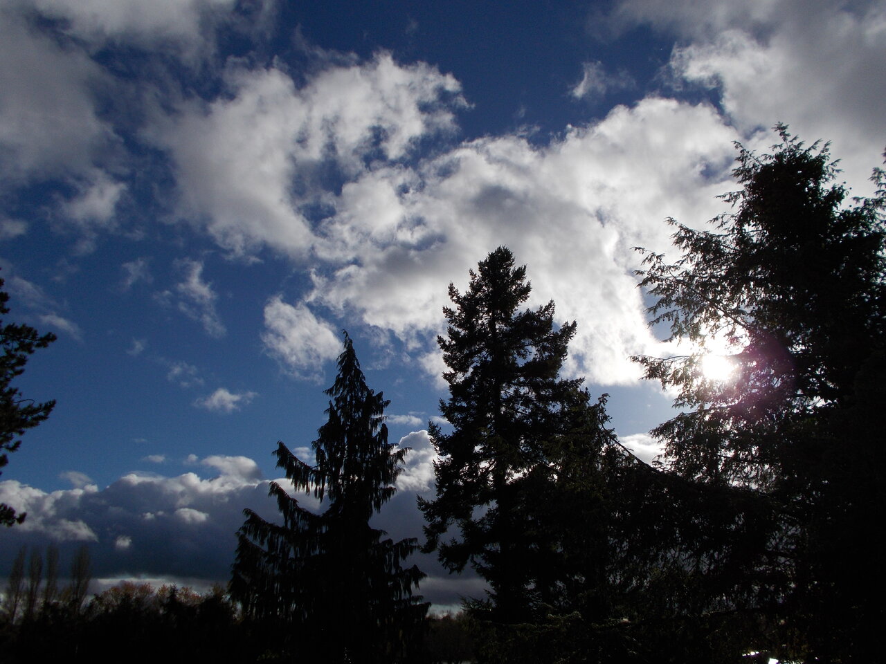 DSCN0701.JPG