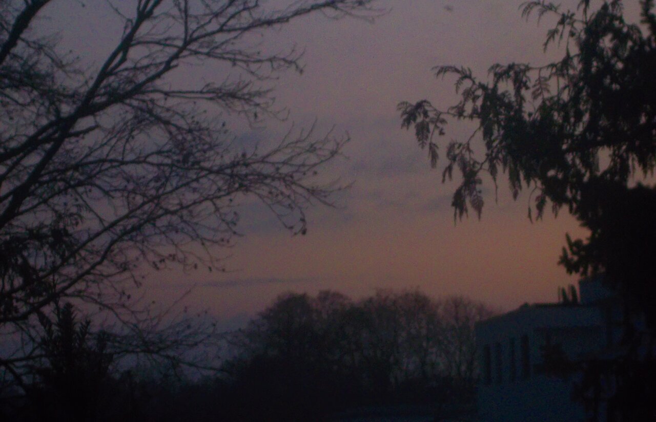 DSCN0724.JPG