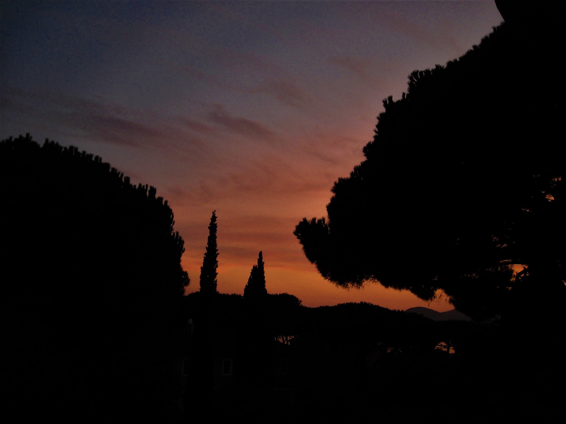 DSCN0801.JPG