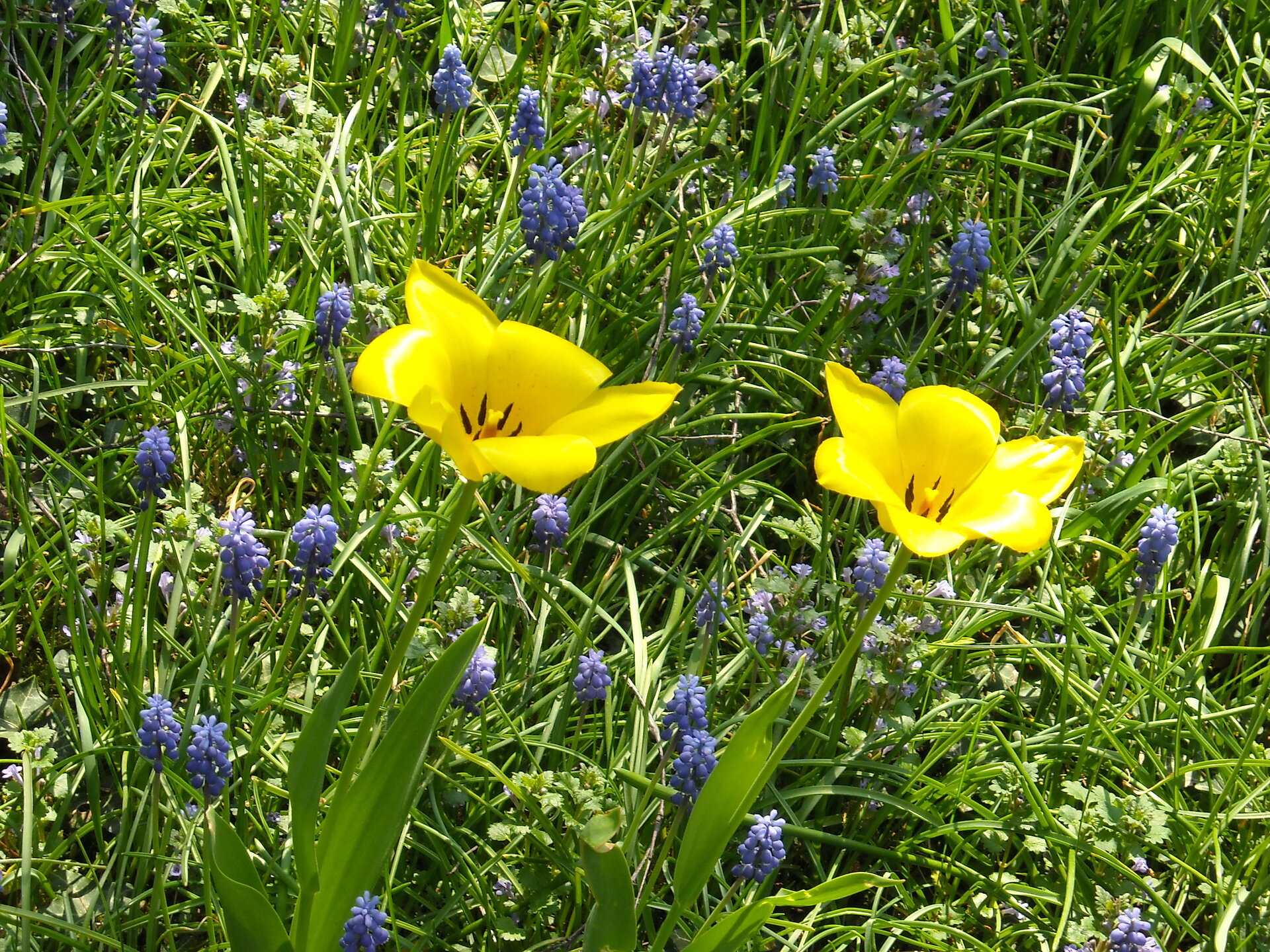 DSCN0891.JPG