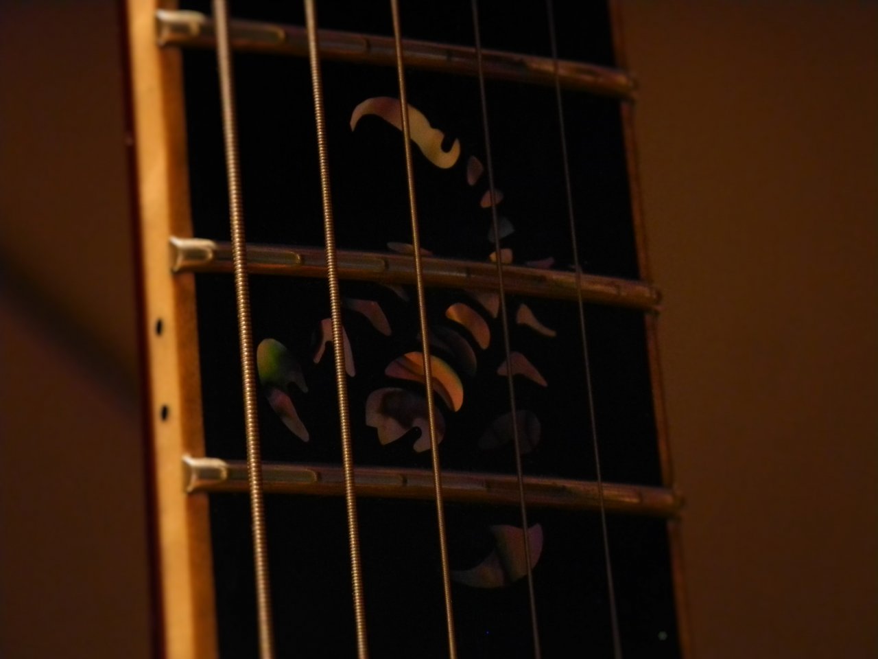DSCN0921.JPG