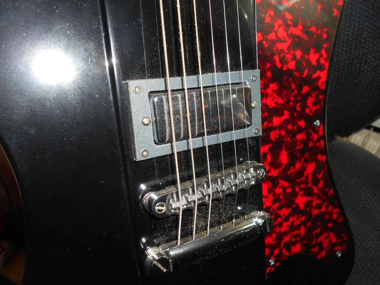 DSCN1000.webp