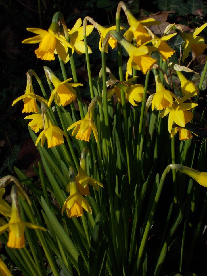 DSCN1030.JPG