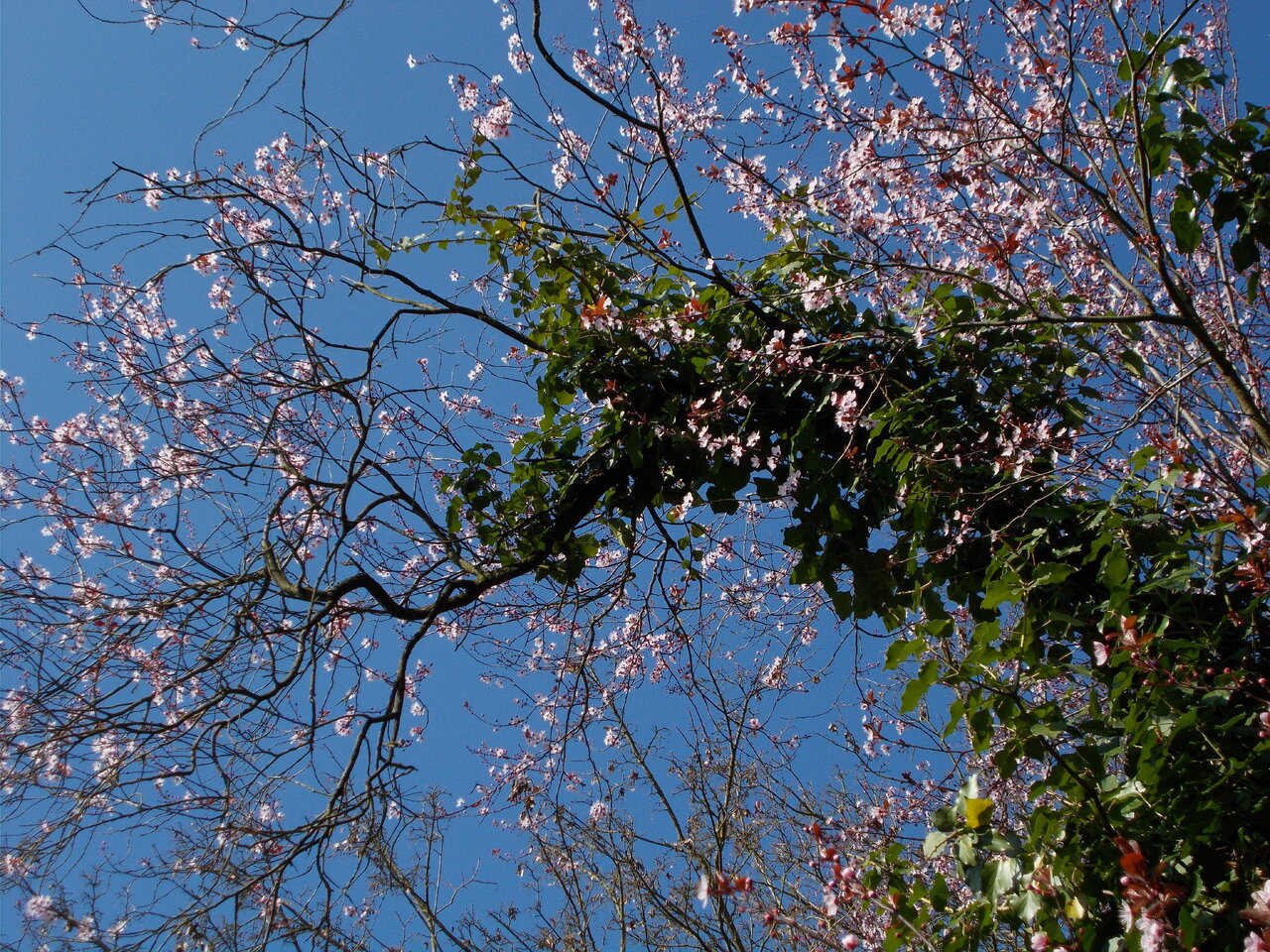 DSCN1063.JPG