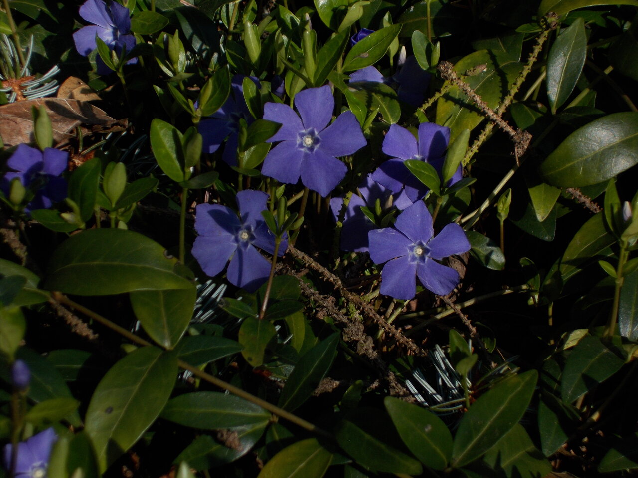 DSCN1065.JPG