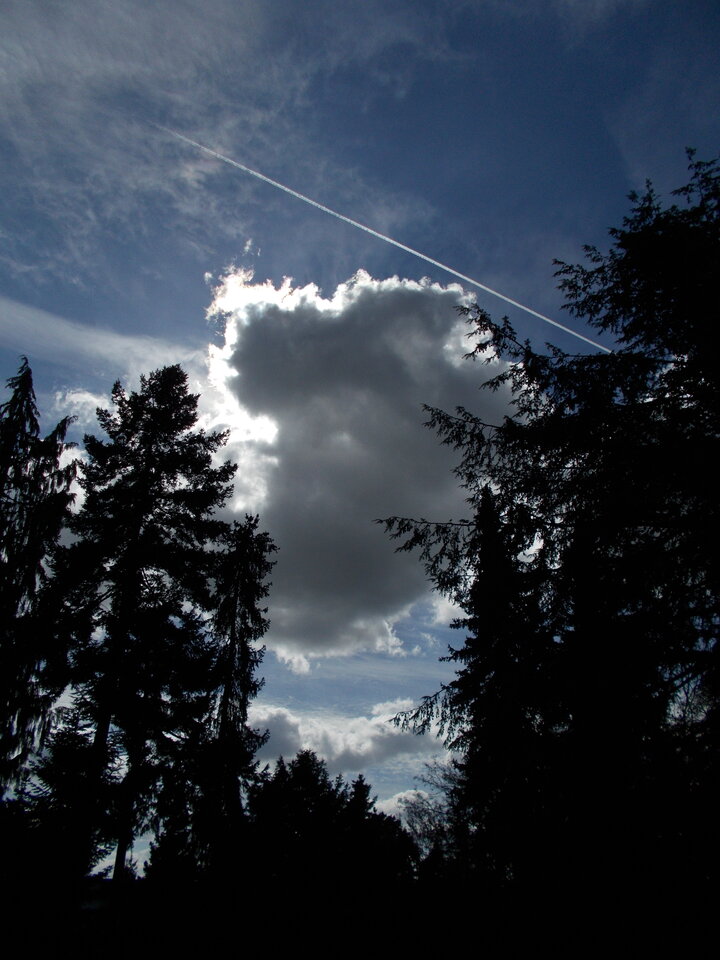 DSCN1118.JPG