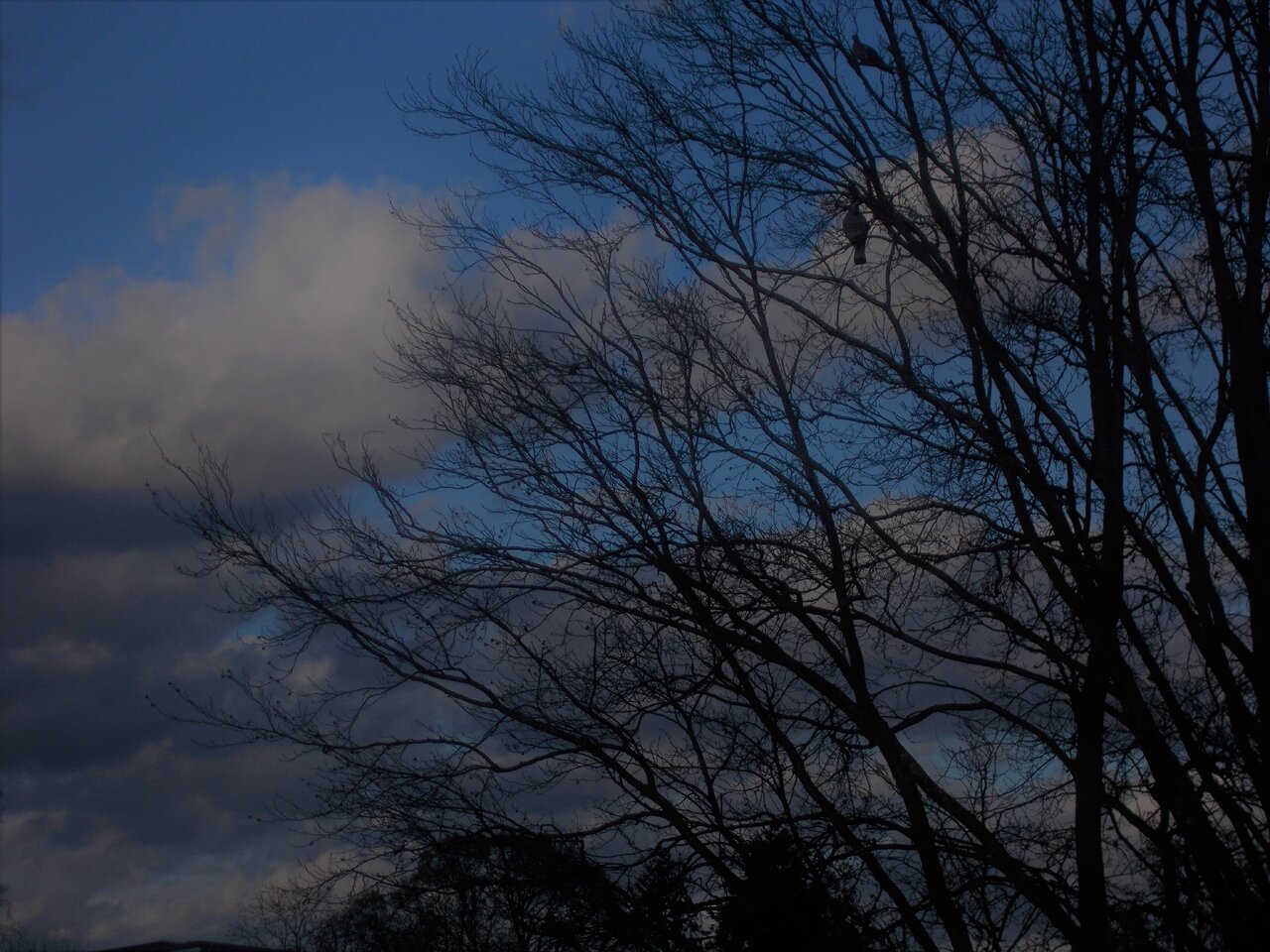 DSCN1131.JPG