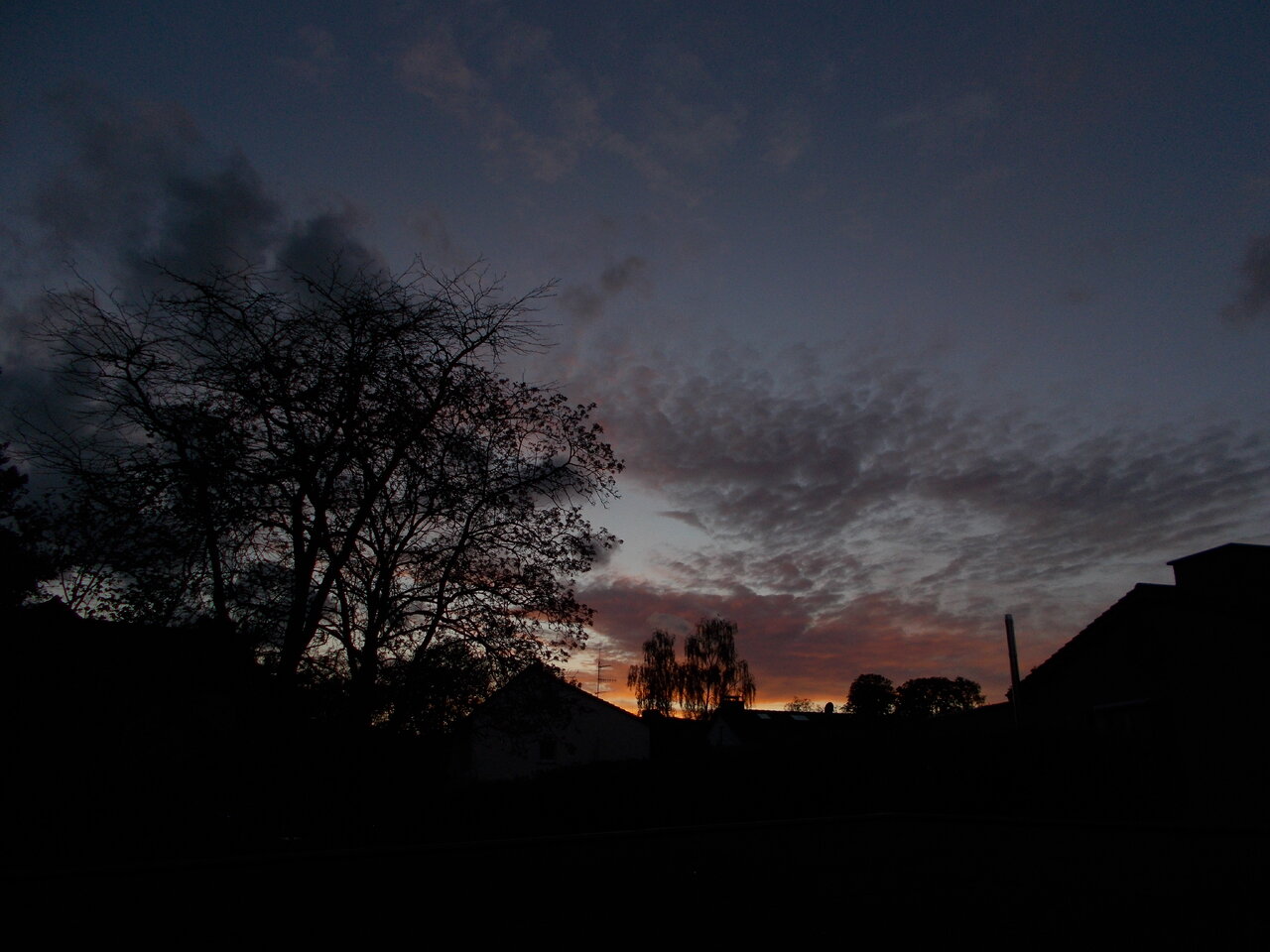 DSCN1165.JPG
