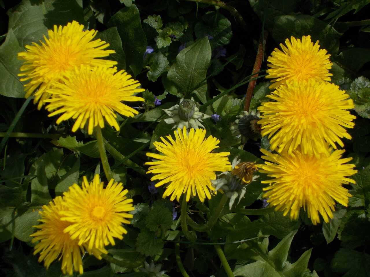 DSCN1184.JPG