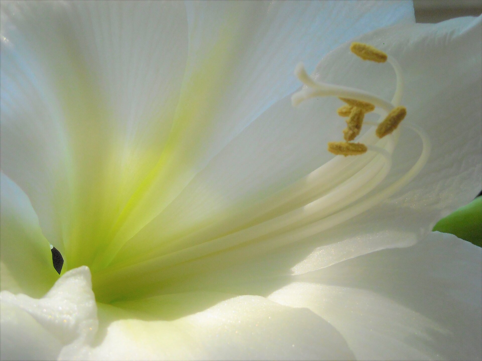 DSCN1201.JPG