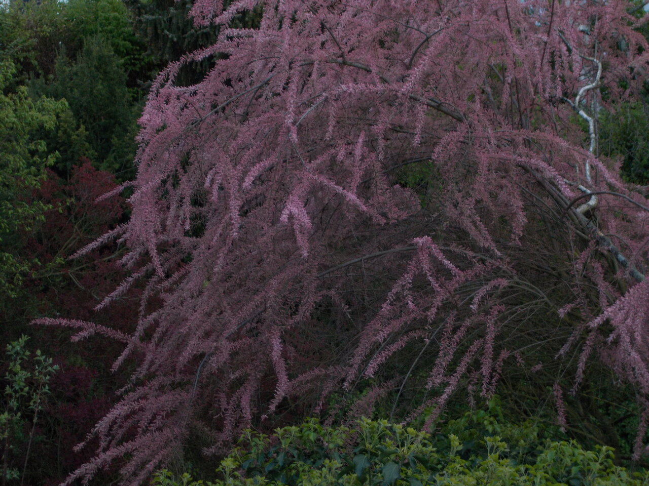 DSCN1207.JPG