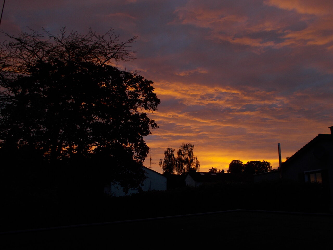 DSCN1243.JPG