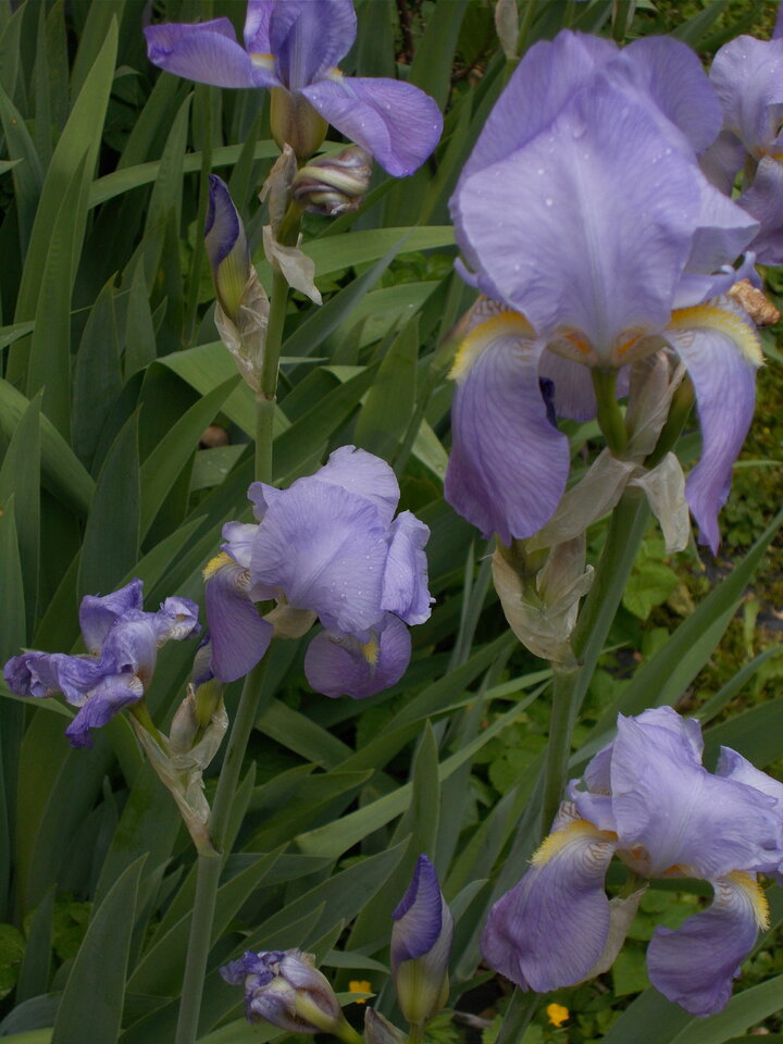 DSCN1247.JPG