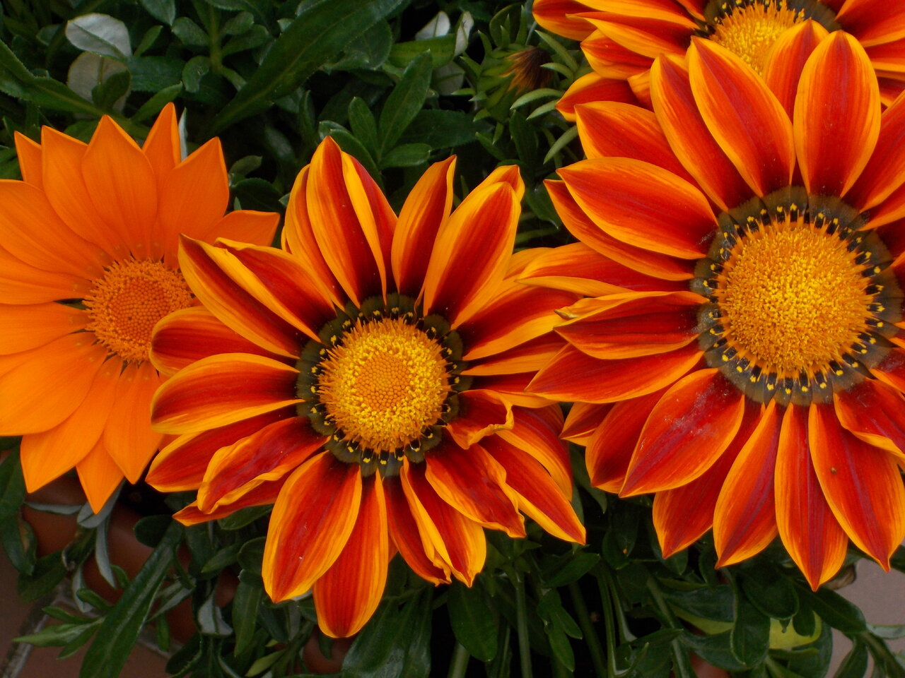 DSCN1328.JPG