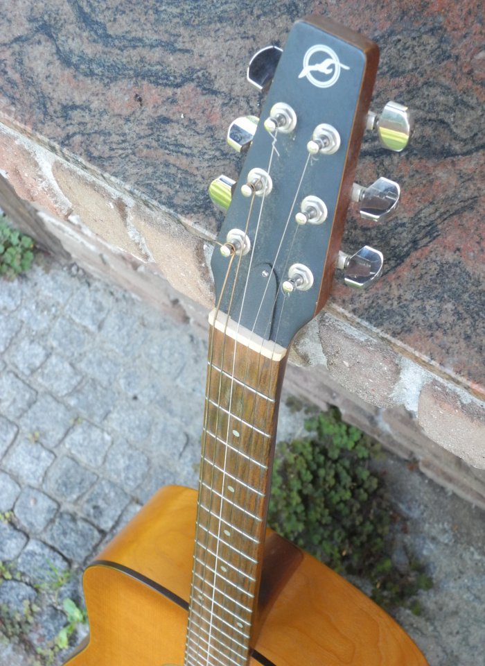 DSCN1386.JPG