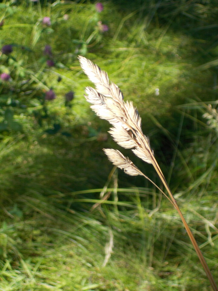 DSCN1449.JPG