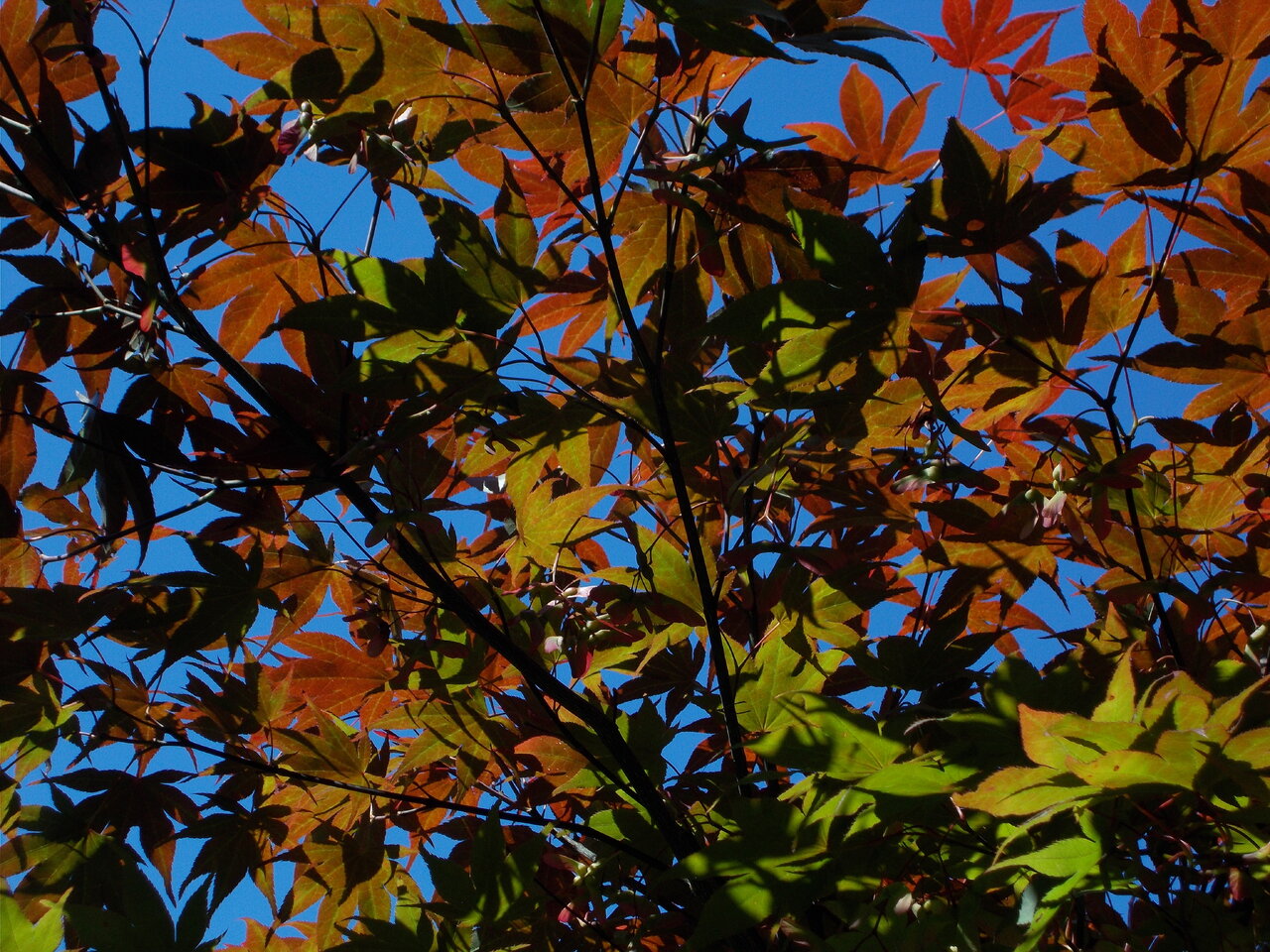DSCN1465.JPG