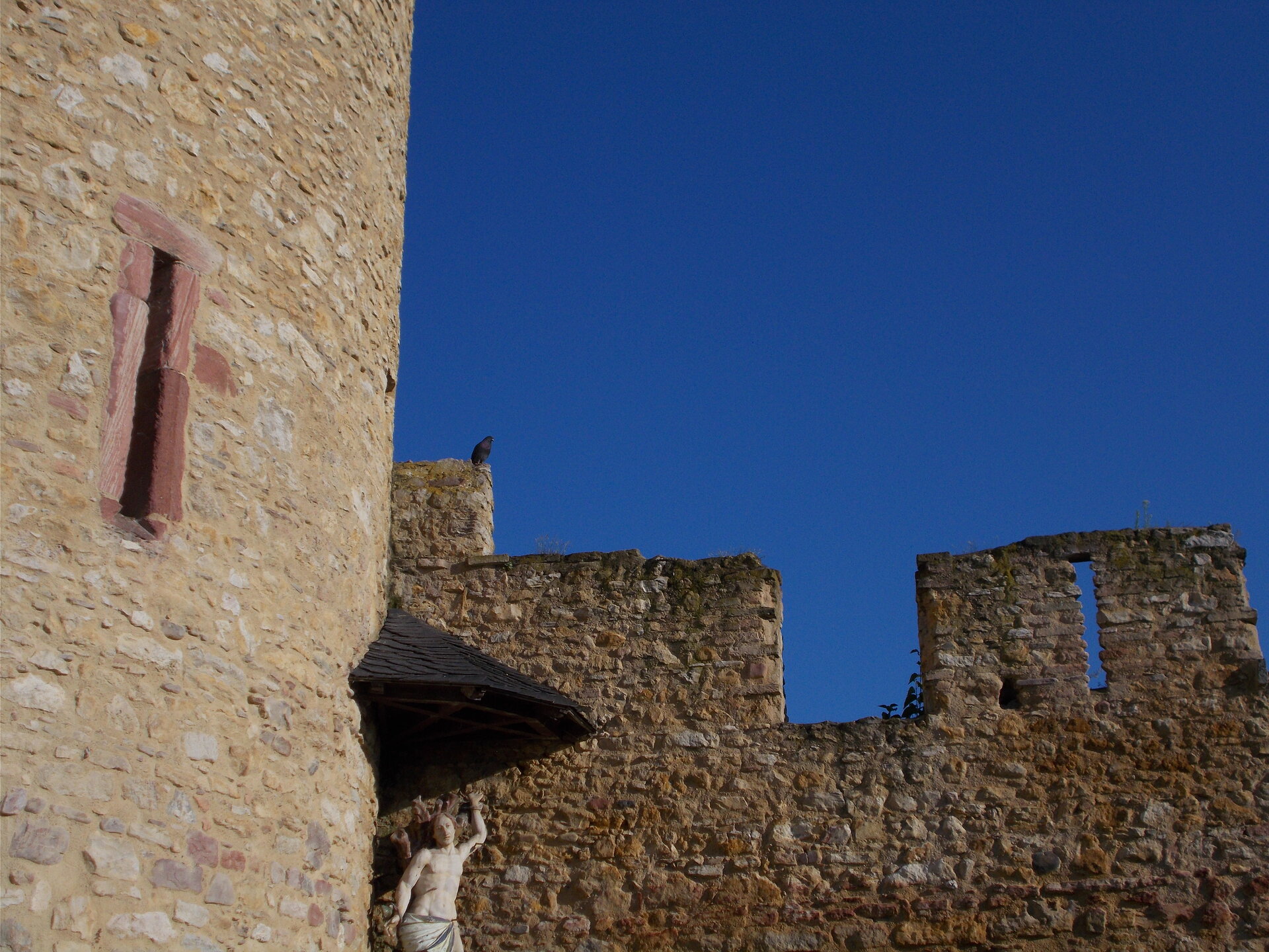 DSCN1536.JPG