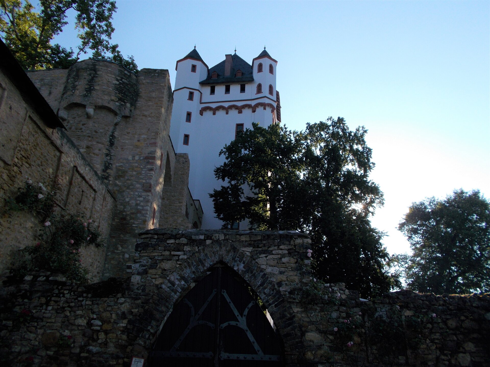 DSCN1553.JPG