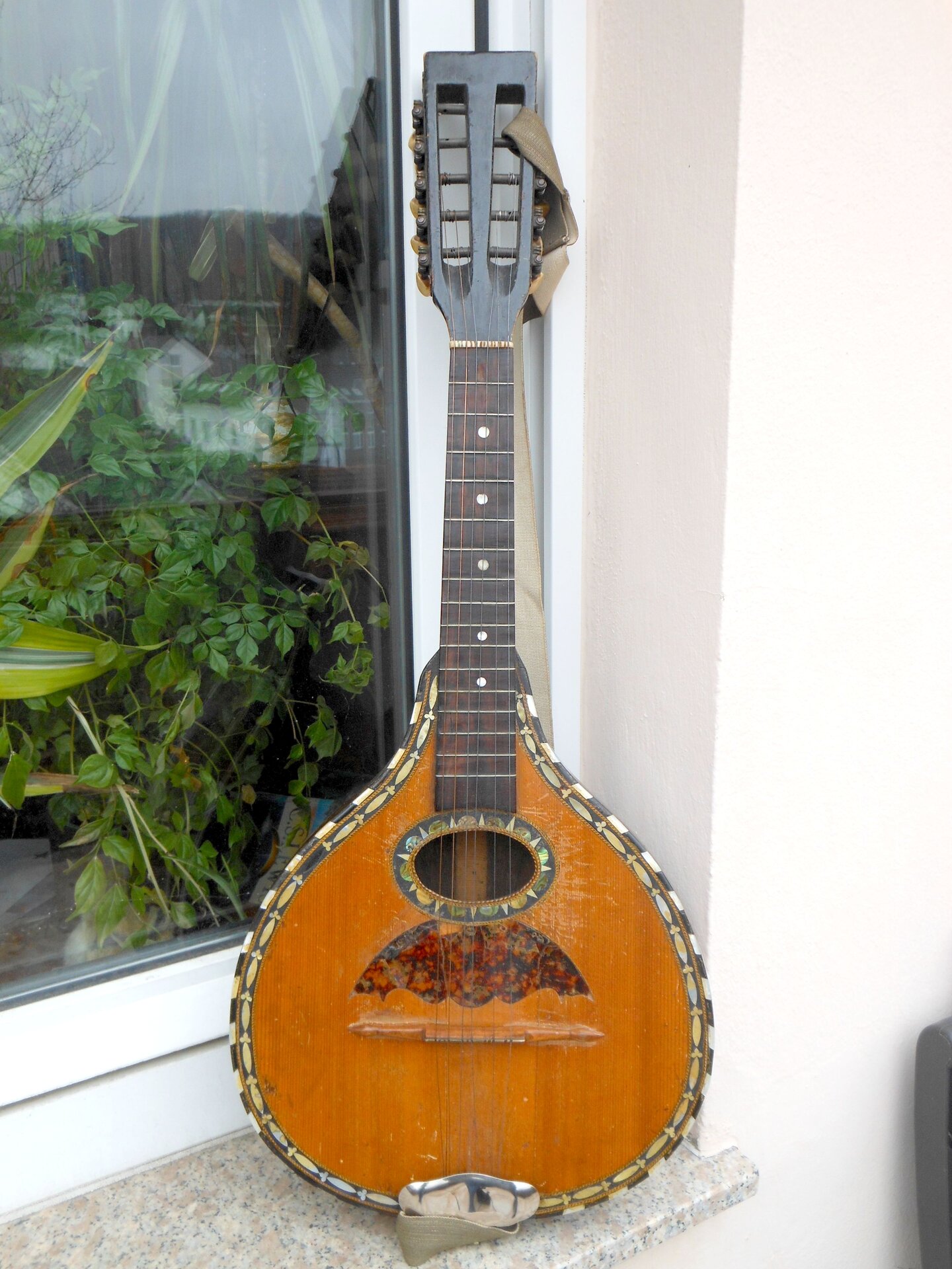 DSCN1619.JPG