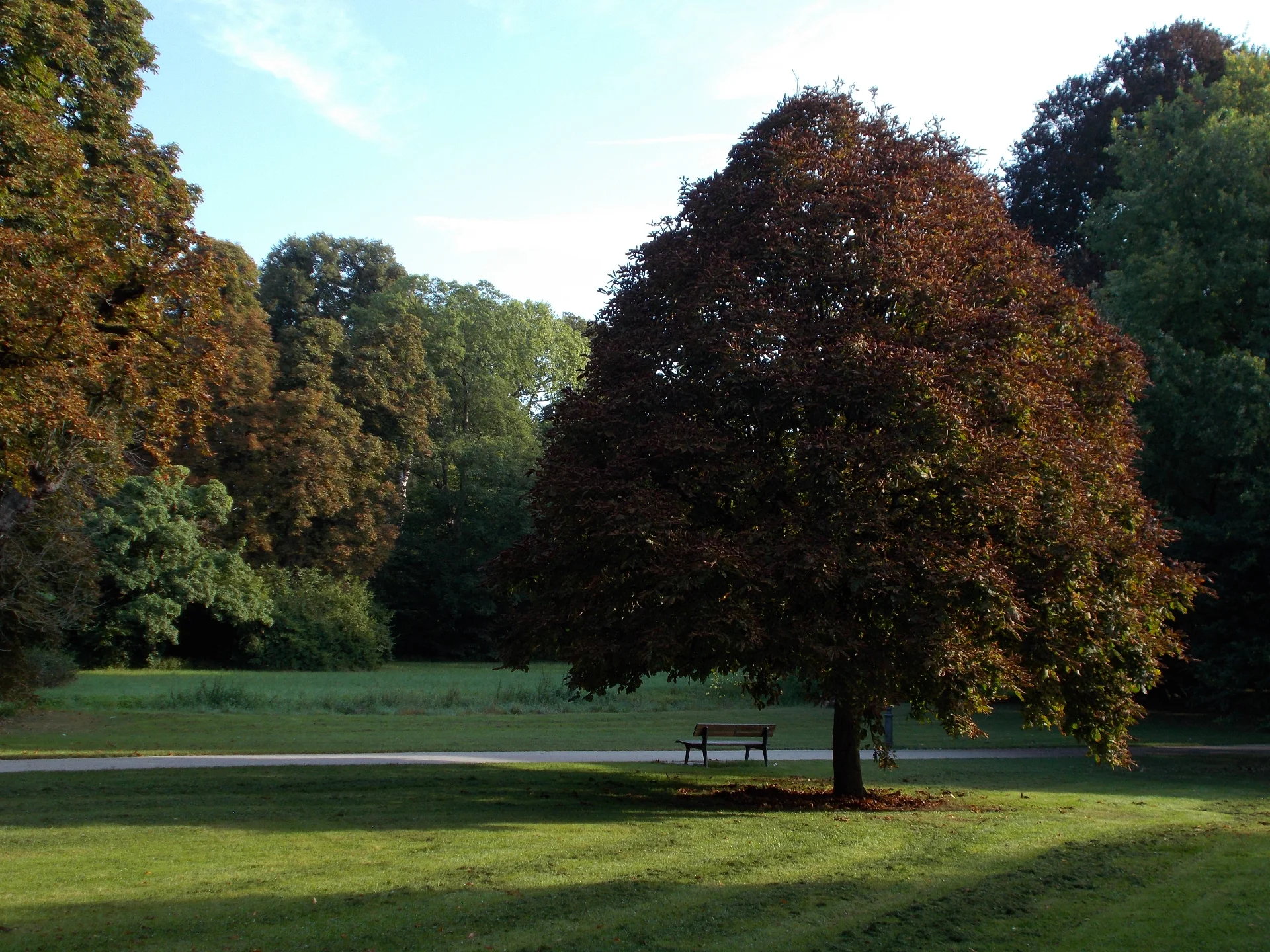 DSCN1705.webp