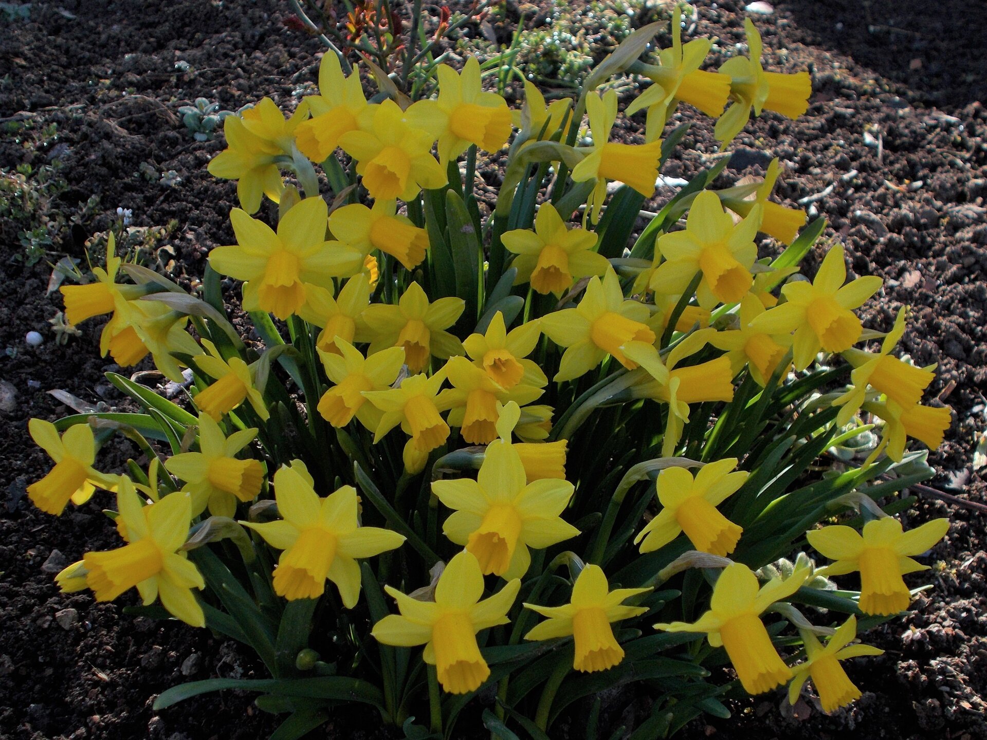 DSCN2116.JPG