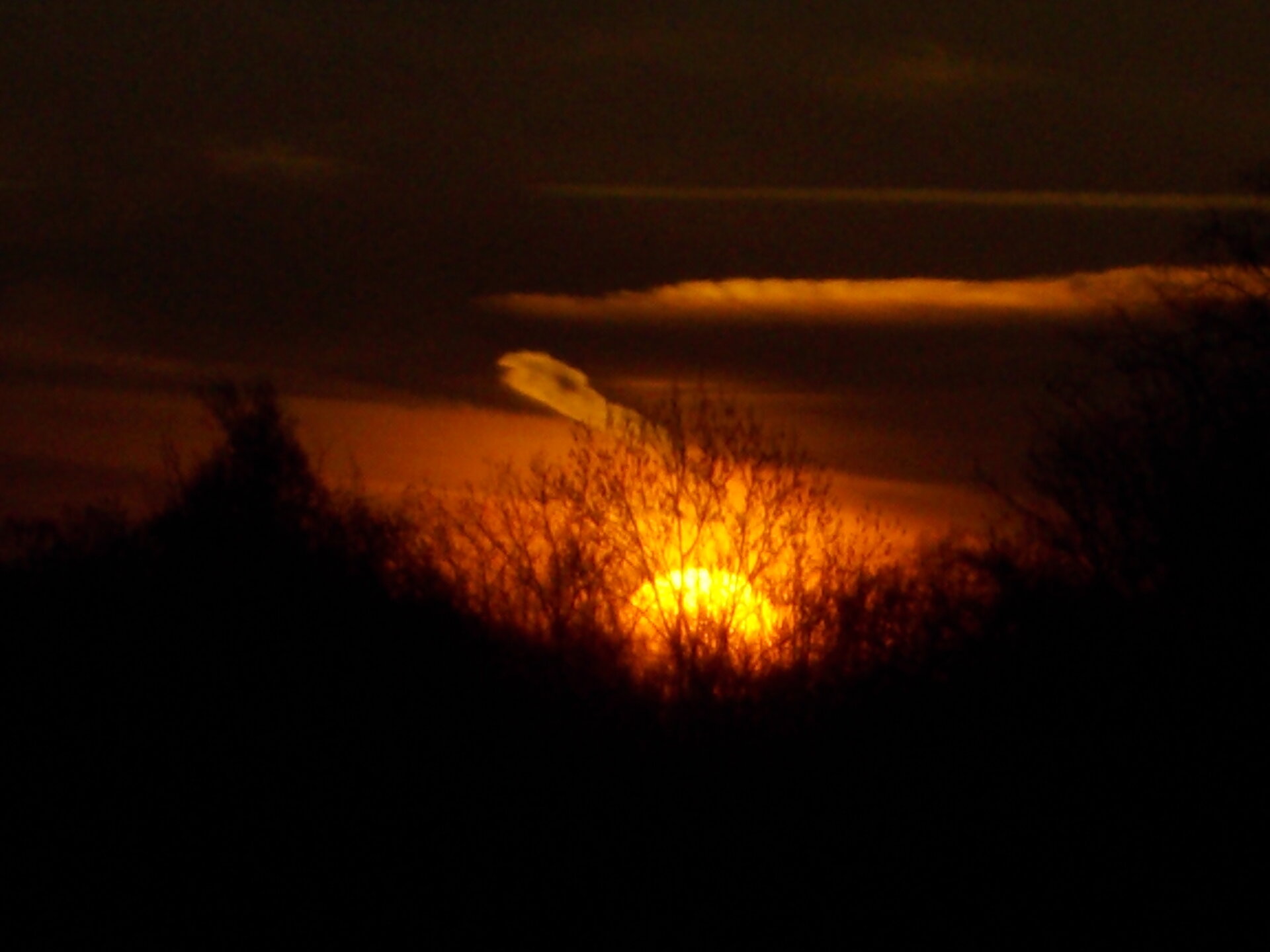 DSCN2135.JPG
