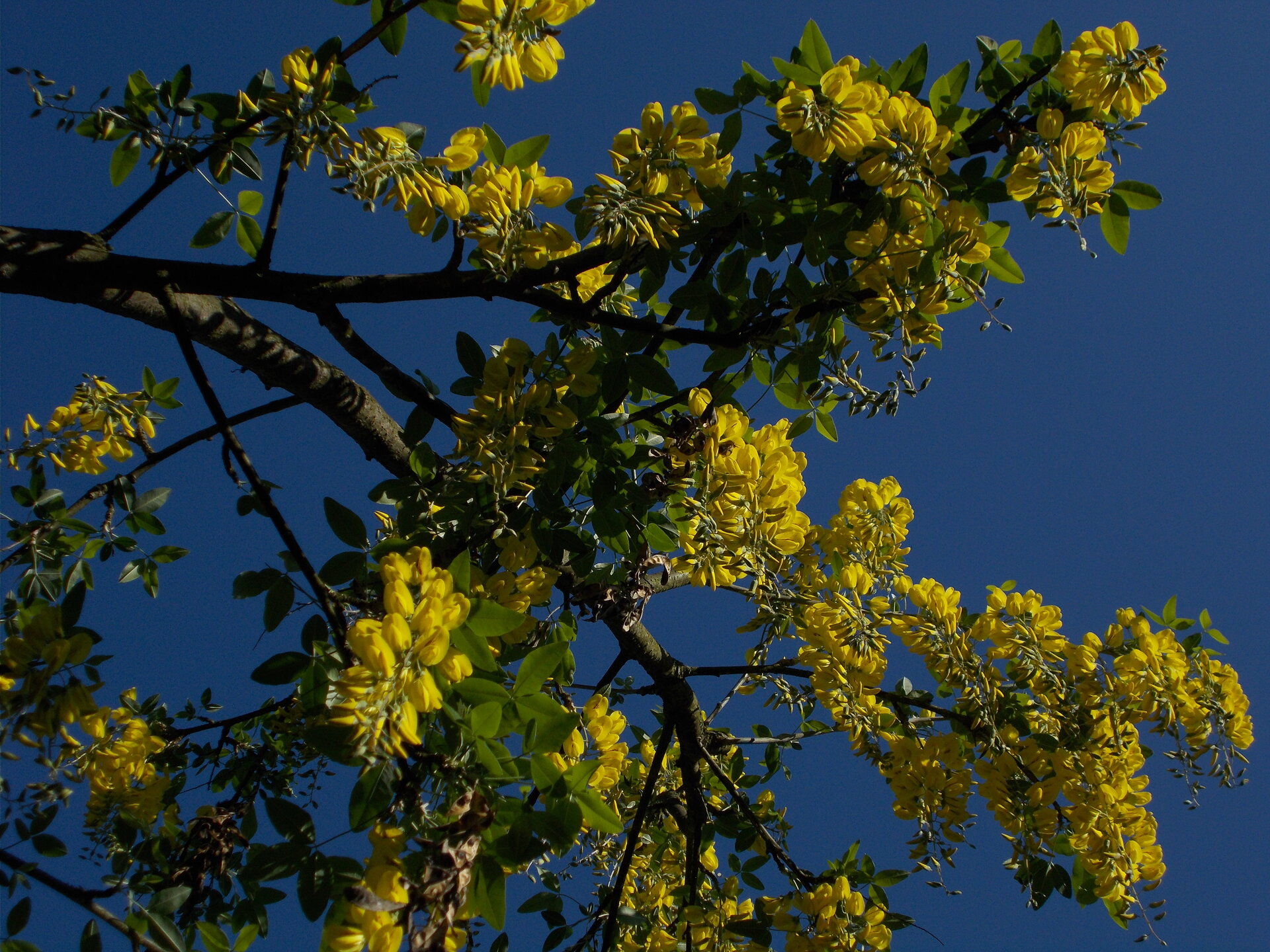 DSCN2158.JPG