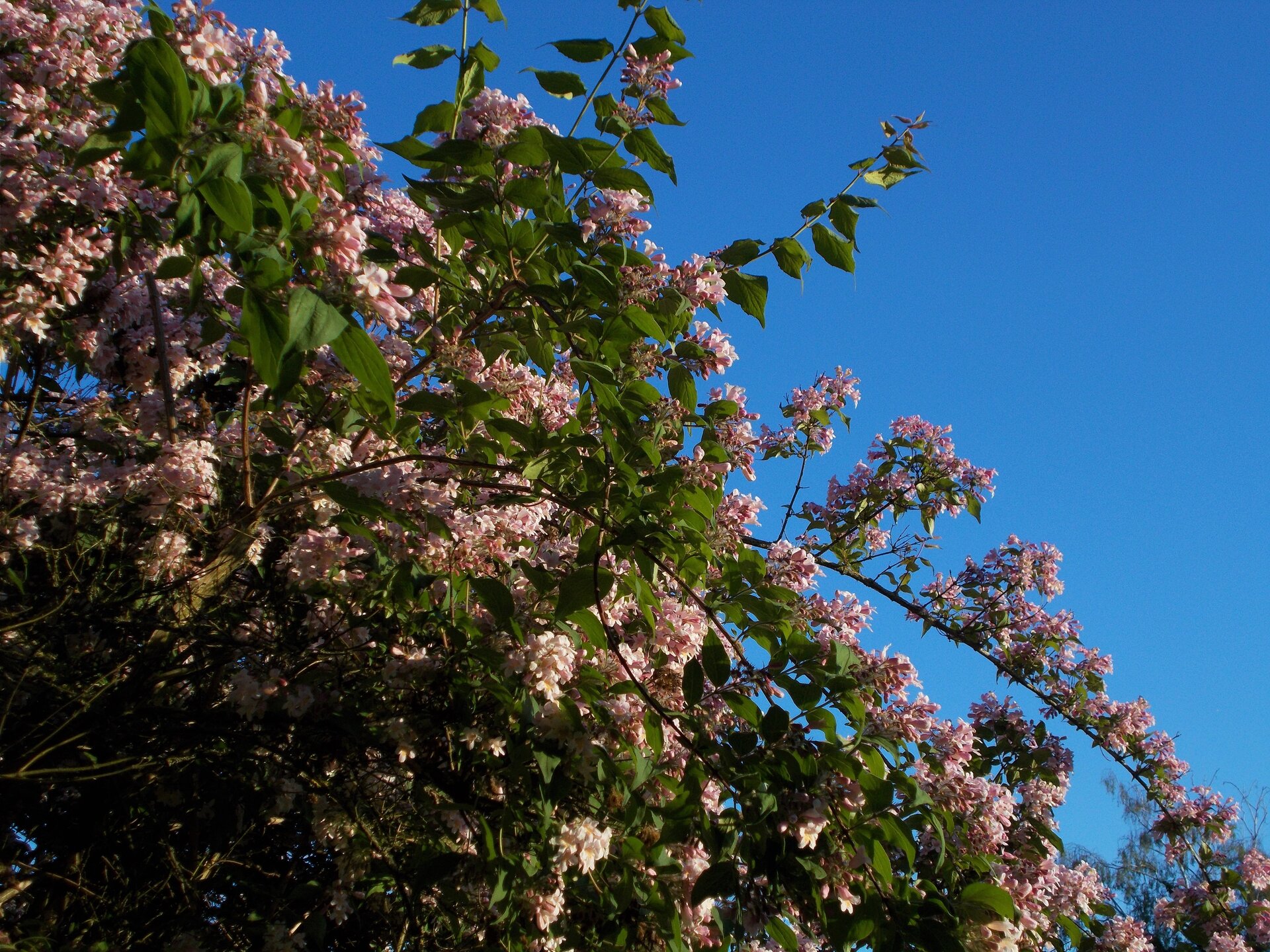 DSCN2175.JPG