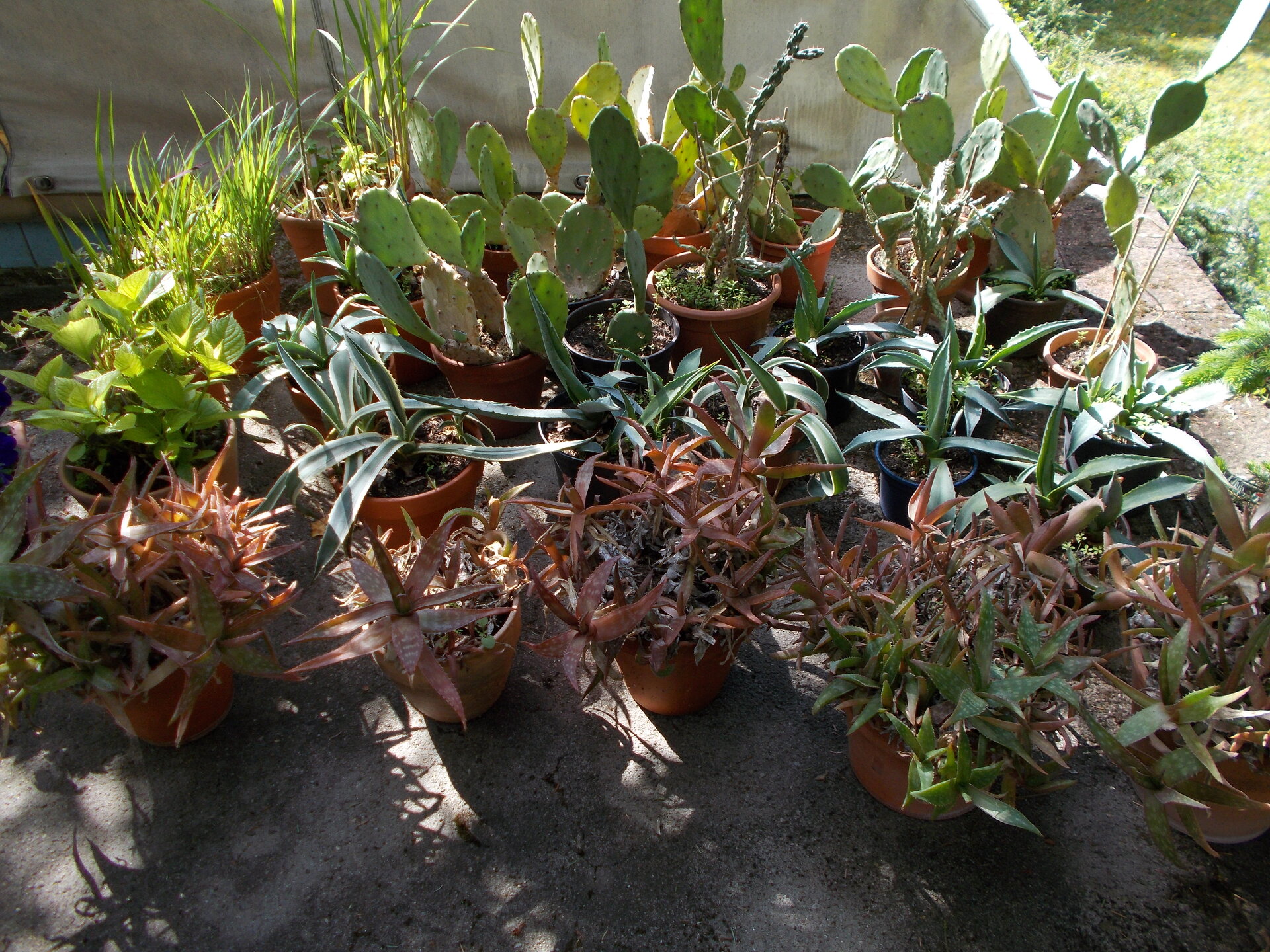 DSCN2180.JPG
