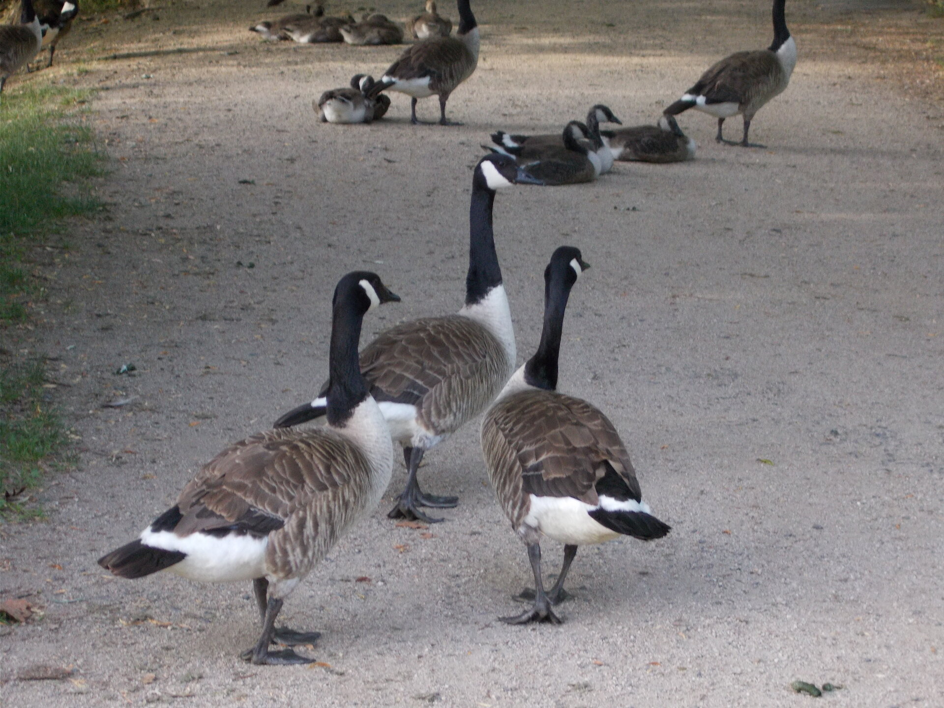 DSCN2258.JPG