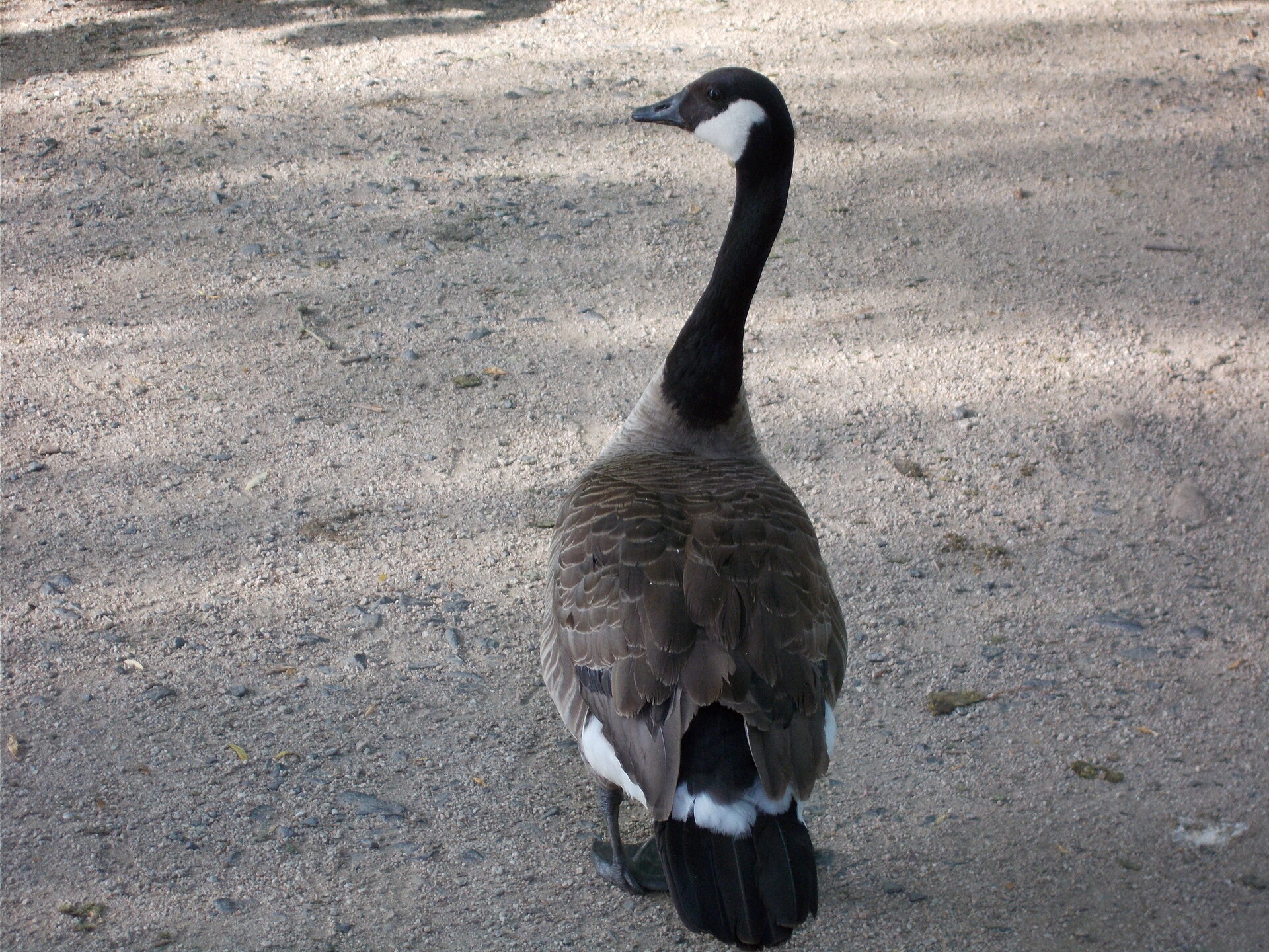 DSCN2263.JPG