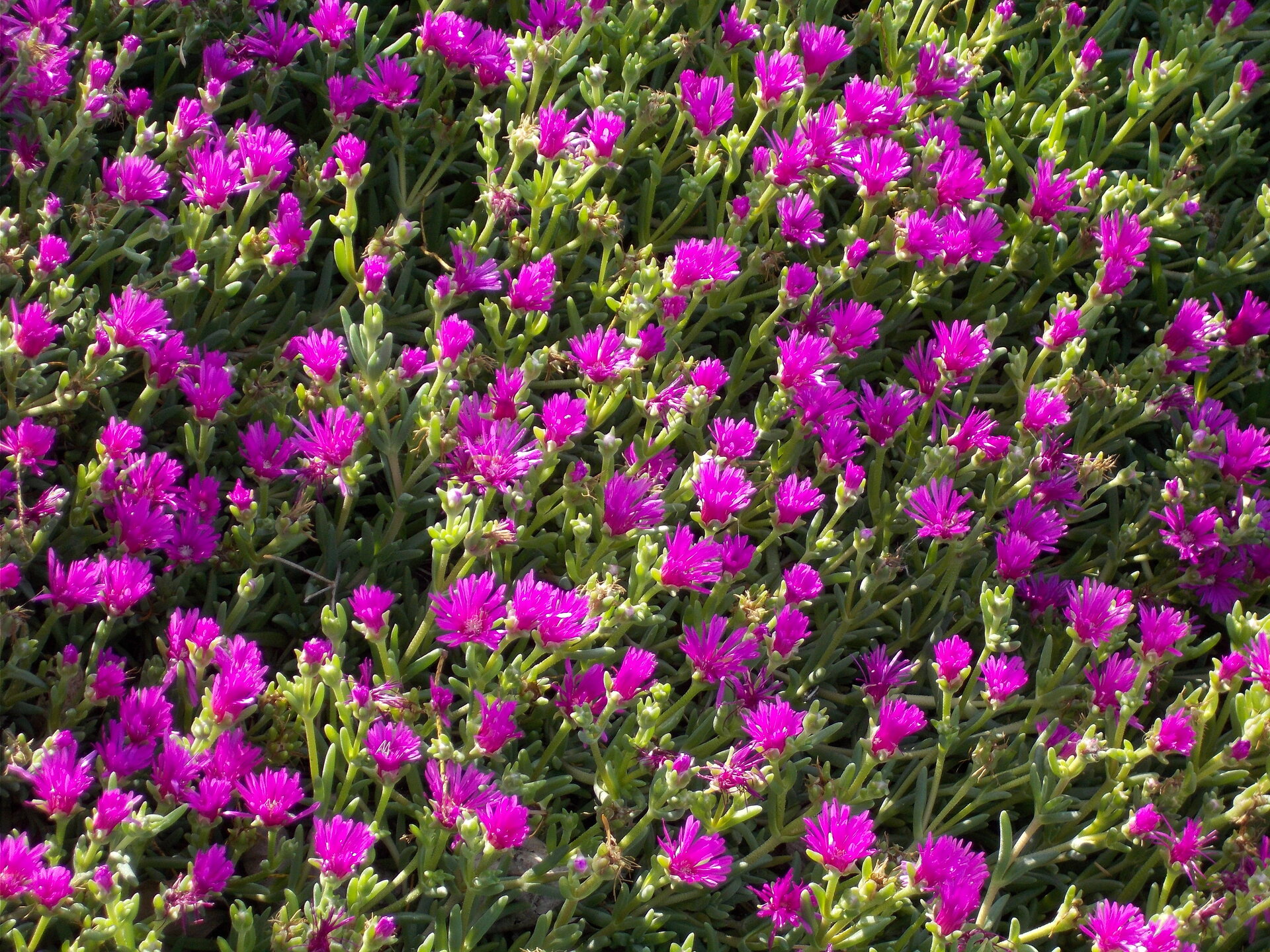DSCN2290.JPG