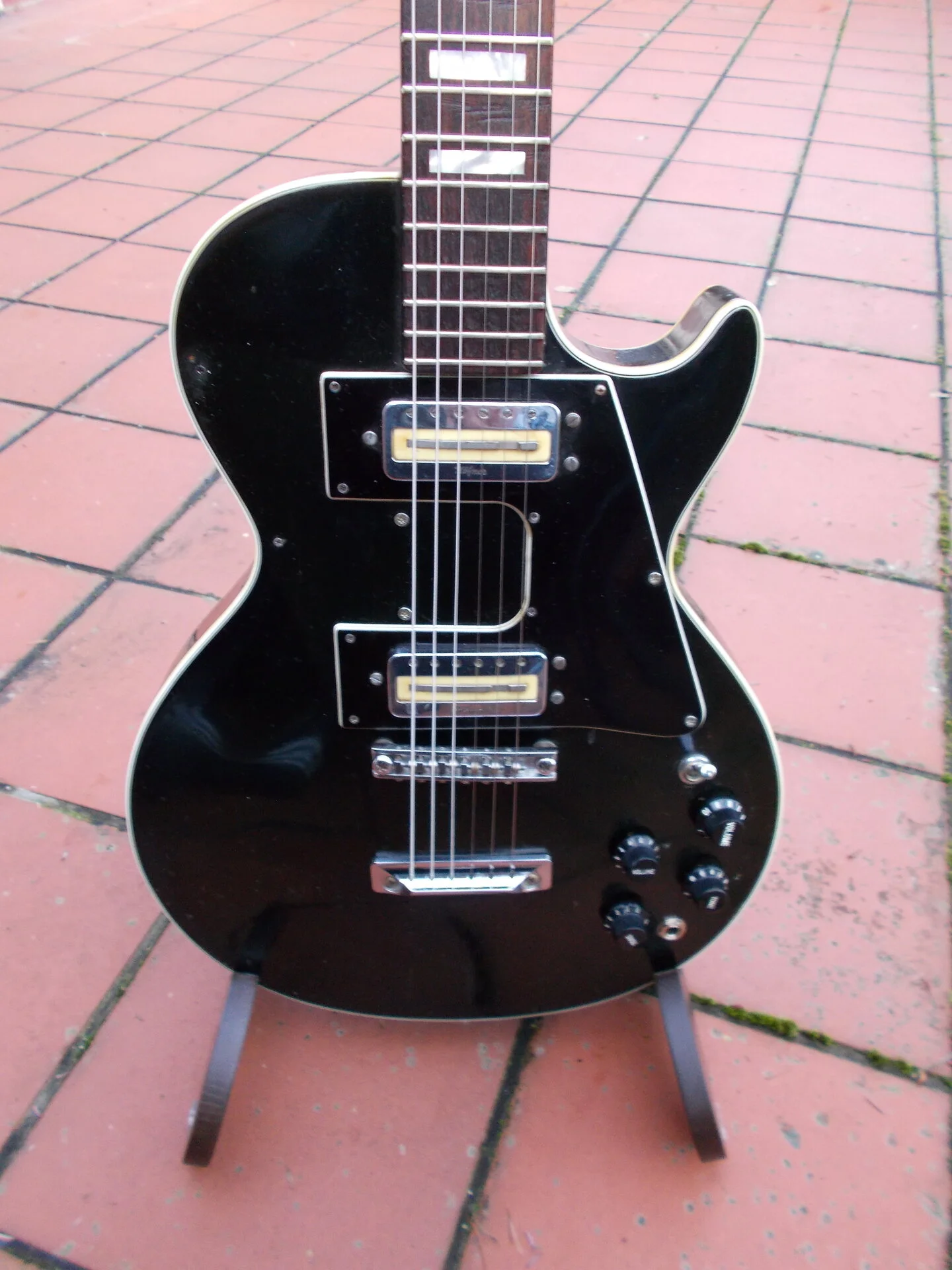 DSCN2446.JPG