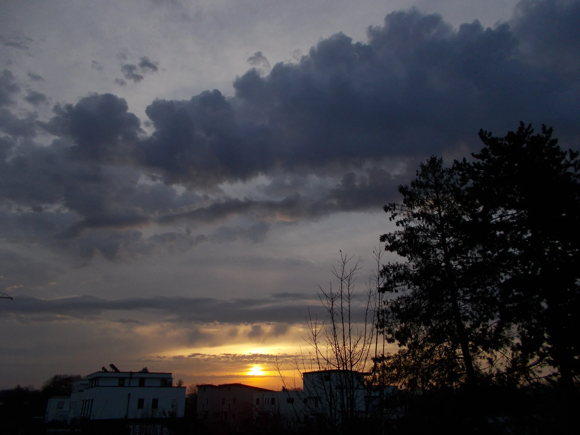 DSCN2590.webp