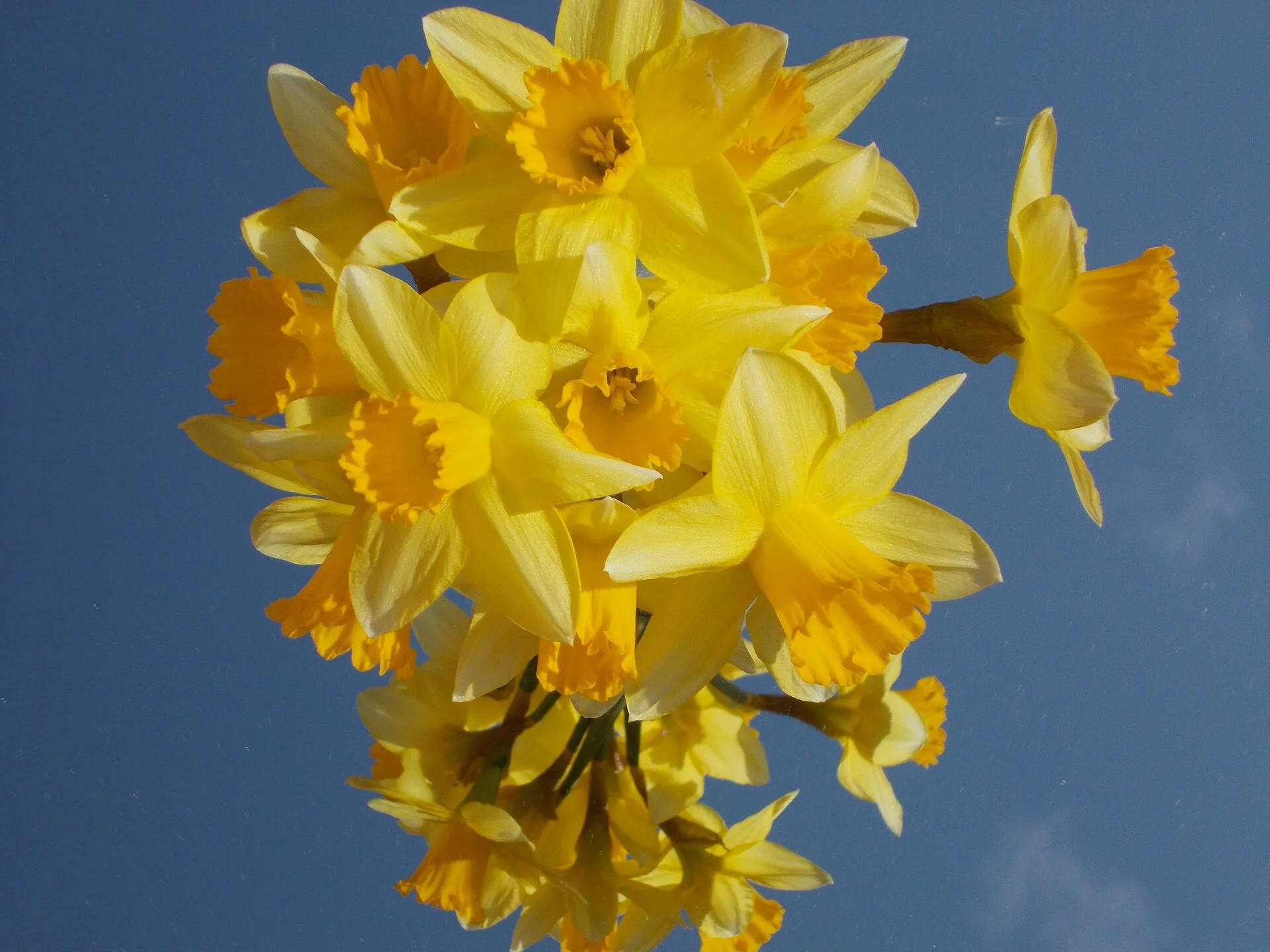 DSCN2616.webp