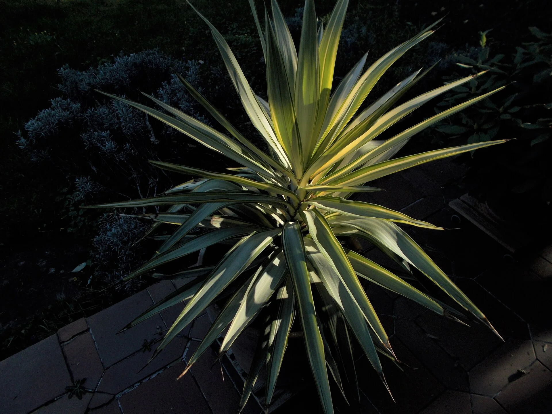 DSCN2656.JPG