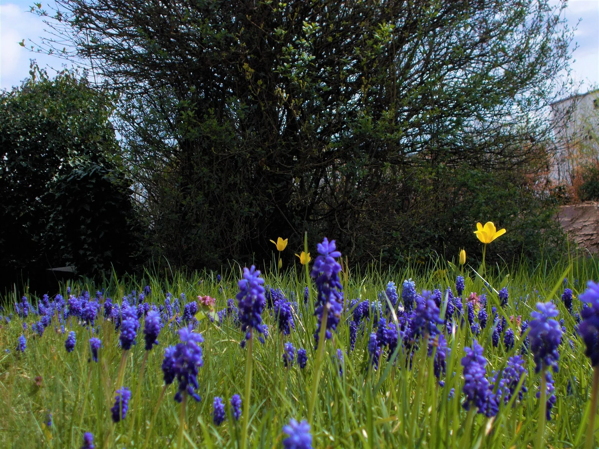DSCN2675.JPG
