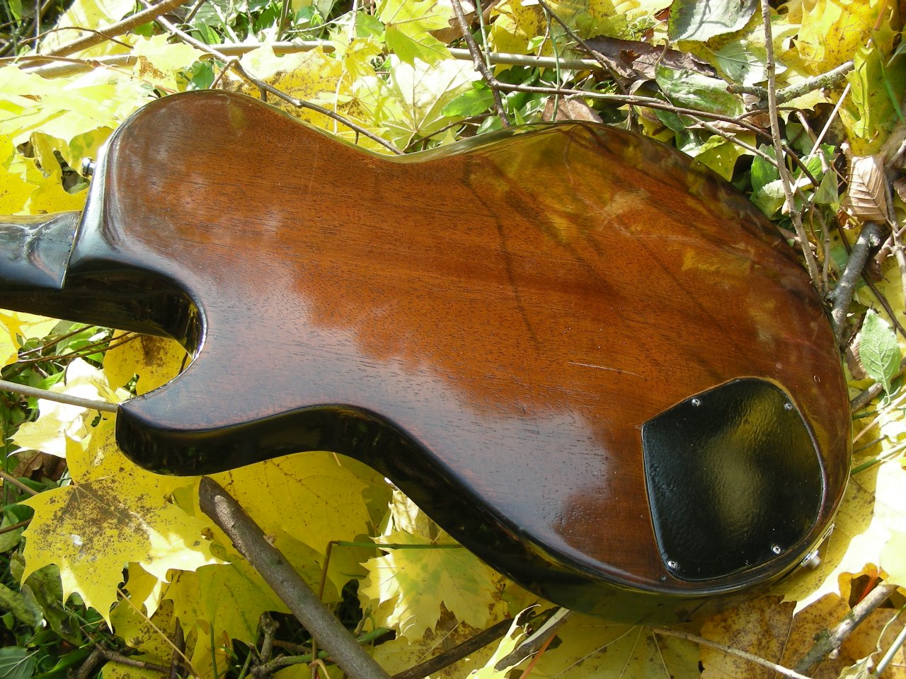 DSCN3911.JPG