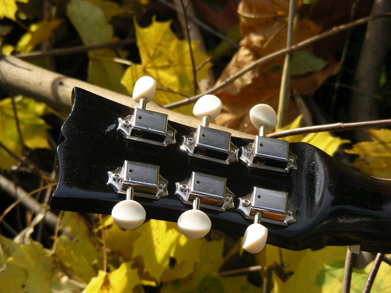 DSCN3912.JPG