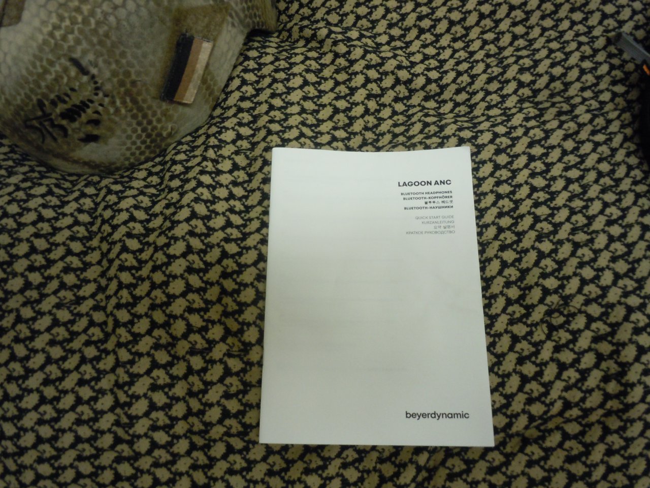DSCN4006.JPG