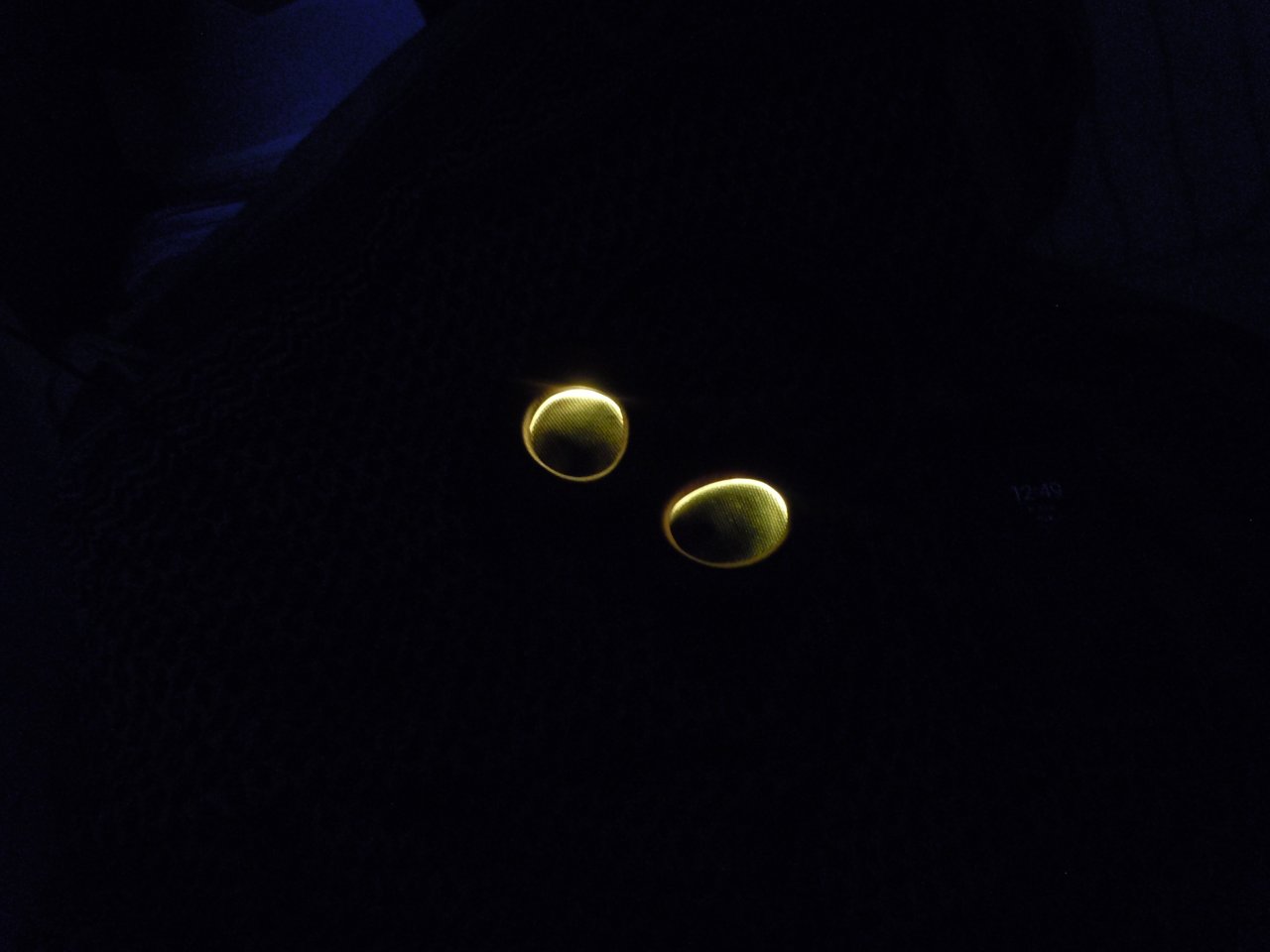 DSCN4035.JPG
