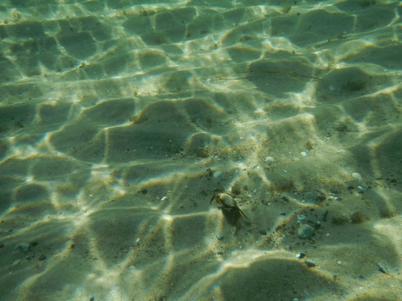 DSCN4331.JPG