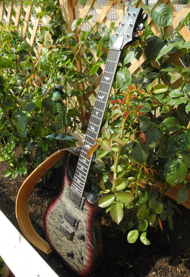 DSCN4742.JPG