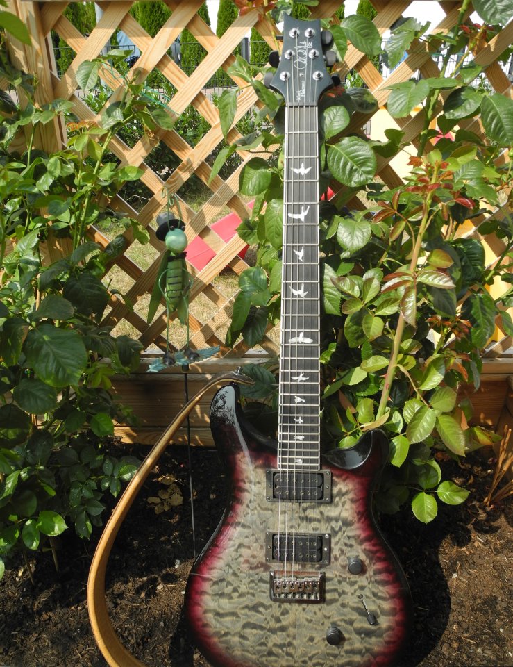 DSCN4744.JPG