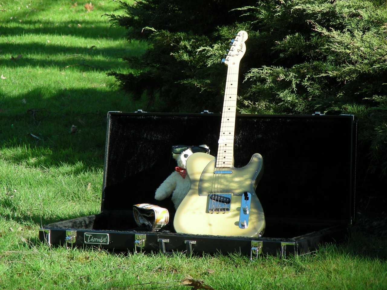 DSCN4951.JPG