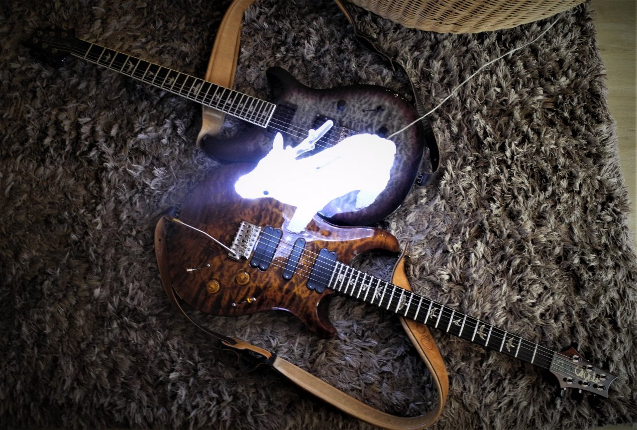 DSCN4973.JPG