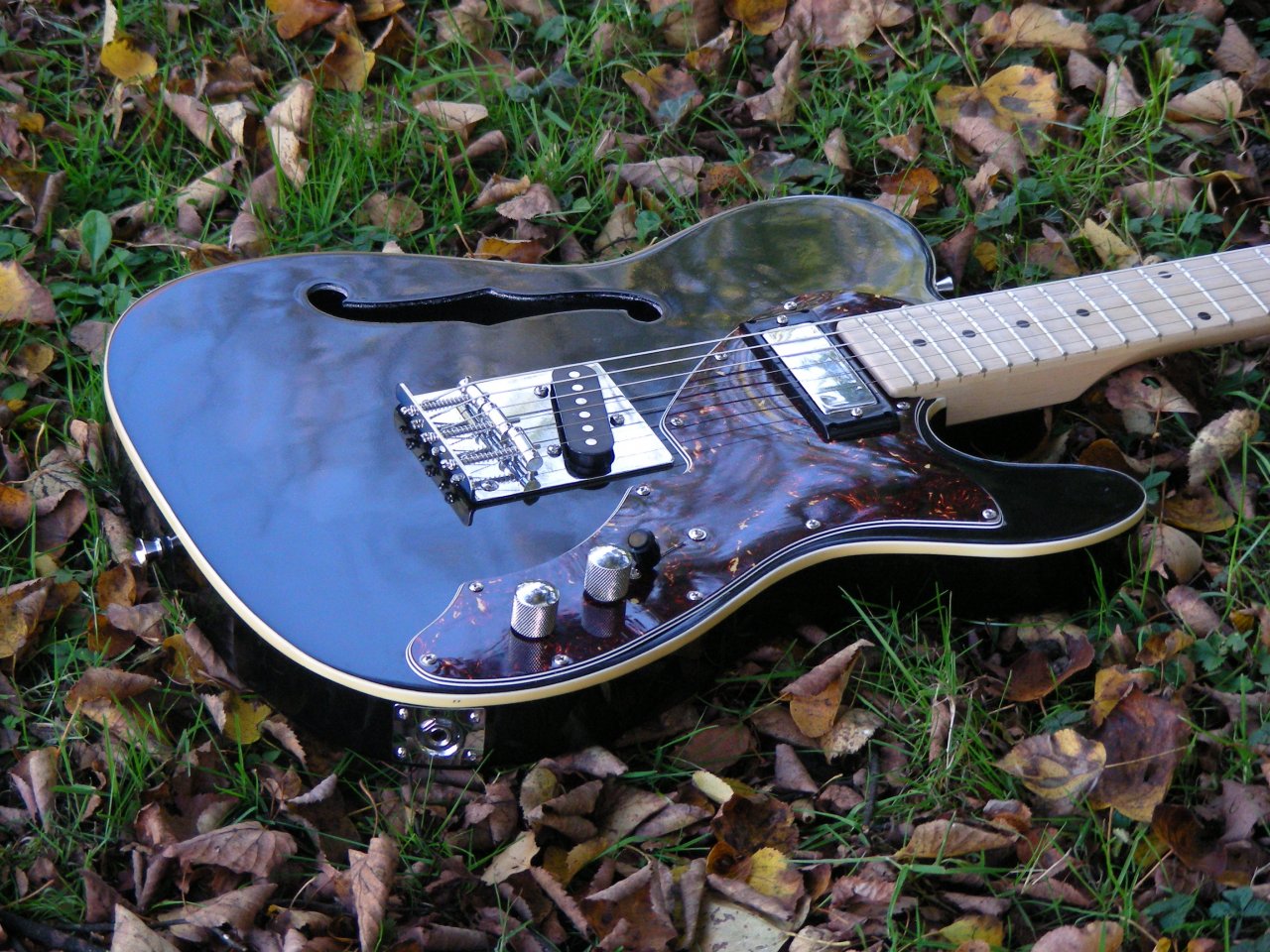 DSCN5135.JPG